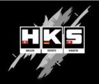 HKSs Avatar